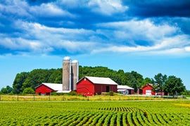 Agriculture, Crop & Hail